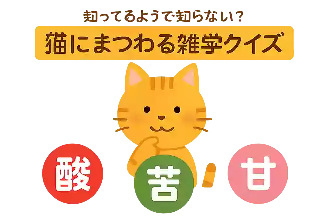 次のうち、猫にない味覚はどれでしょうか?