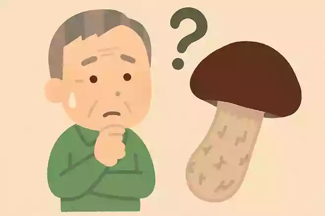 日本では秋の味覚として親しまれる松茸ですが、欧米ではあまり好まれていません。その理由は何でしょうか？