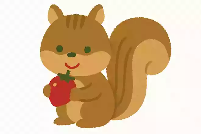 きのみがだいすきでふわふわのしっぽをもっているちいさなどうぶつは?