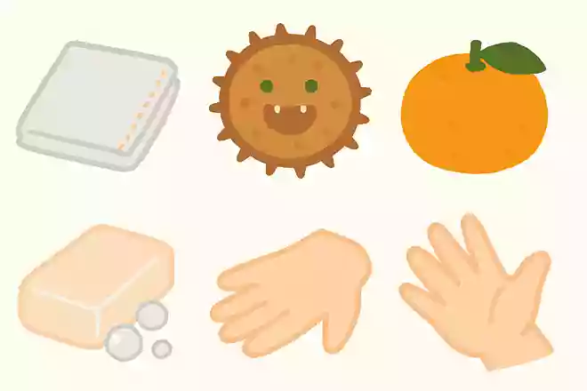 【ある】雑巾、バイキン、みかん、せっけん、じゃんけん【なし】ほうき、手洗い、ぶどう、せんざい、あいこ