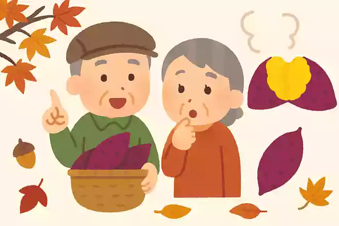 秋に収穫されるさつまいもですが、美味しいさつまいもを見分けるポイントはどこでしょうか？
