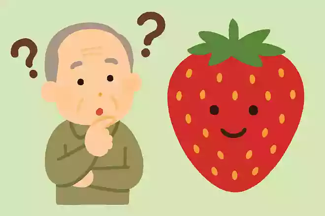 いちごの表面にあるつぶつぶは何でしょうか?