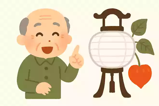 お盆にはつきものと言われ、盆提灯の形にも似ている植物は何でしょうか?