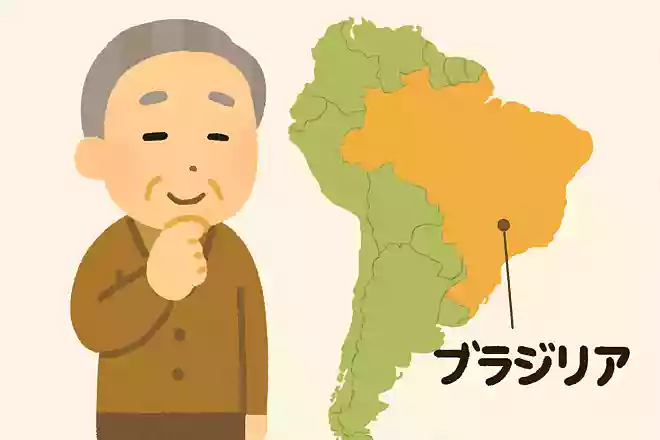 ブラジリアはどこの国の首都でしょうか?