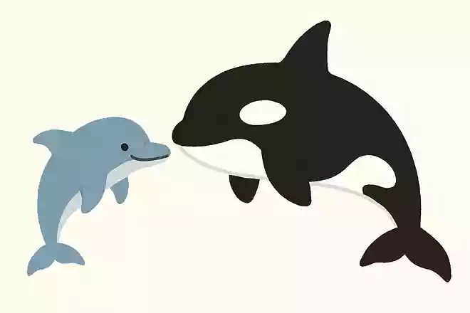 イルカとシャチはどちらが大きい?