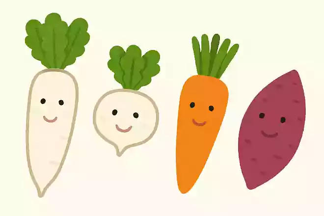 【ある】だいこん、カブ、にんじん、さつまいも【なし】キャベツ、白菜、ブロッコリー、トマト