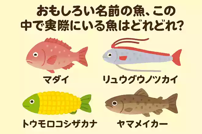 おもしろい名前の魚、この中で実際にいる魚はどれ?
