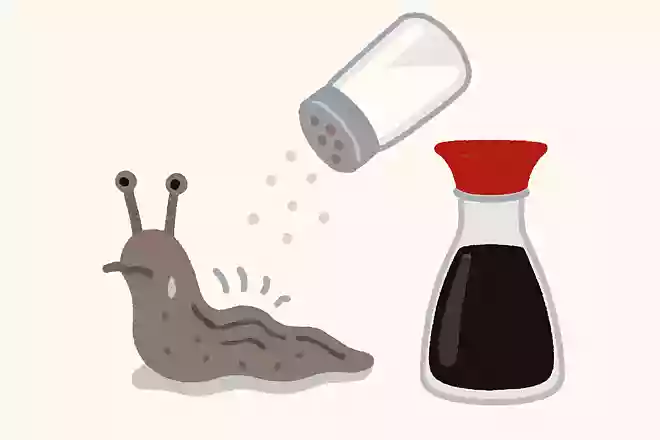 塩以外にナメクジがかけられると、縮んでしまう調味料はなんでしょうか?