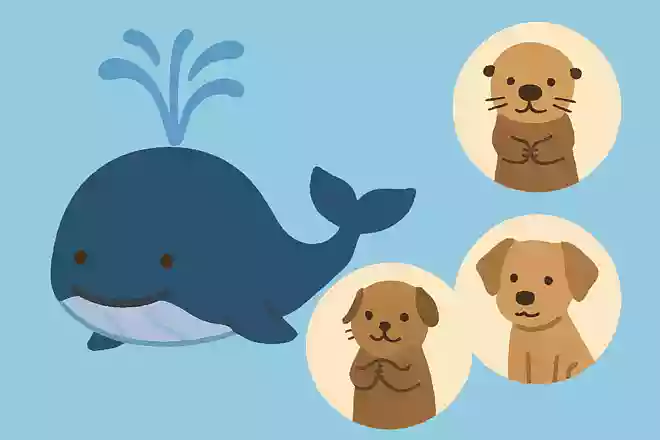 海に住んでいて潮をふく動物は何でしょうか?