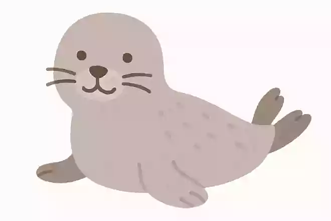 「海豹」はなんの動物でしょう?