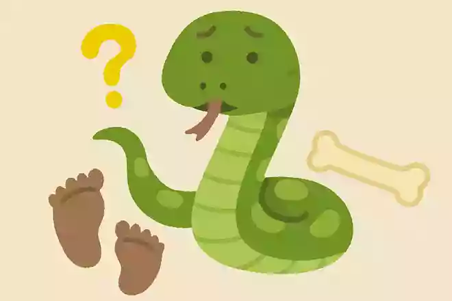 ヘビに手足がないのはどうして?