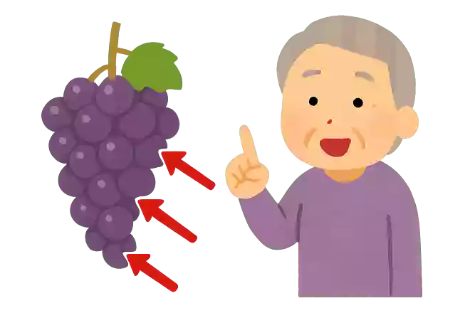 ぶどう一房の、枝から順に「上」「中心」「下」最も甘い部分はどこになるでしょうか?