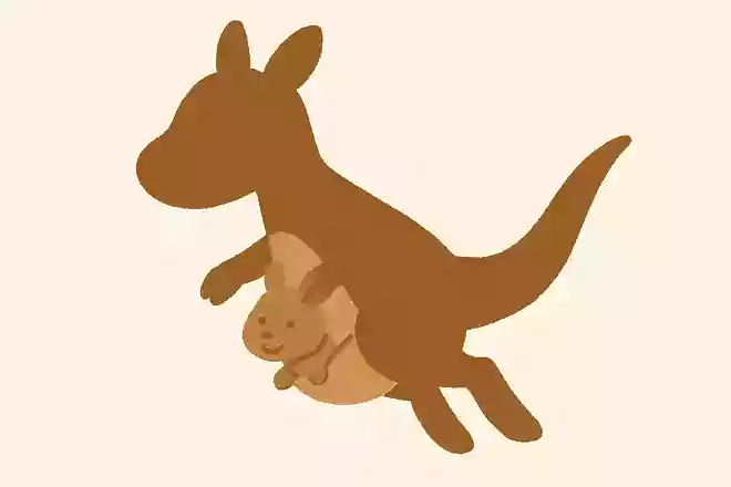 おおきなじゃんぷがとくいで、おなかのふくろにあかちゃんをいれてそだてるどうぶつは?