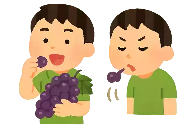 吃葡萄不吐葡萄皮。不吃葡萄到吐葡萄皮。