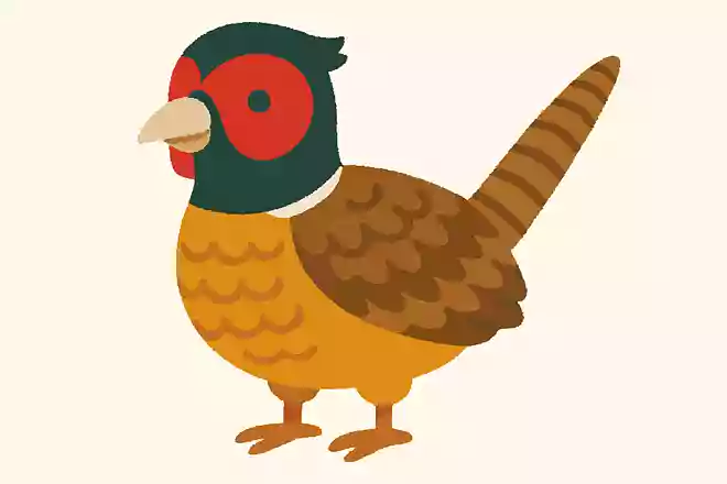 コウライキジ
