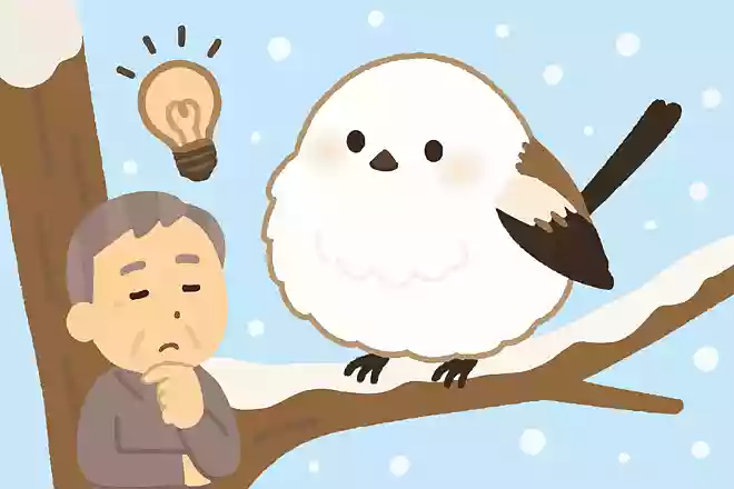 冬の寒さを乗り越えるために、シマエナガはどんな工夫をしているでしょうか?