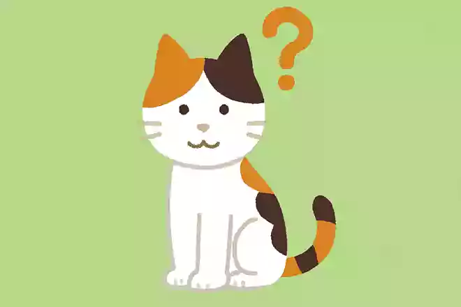 三毛猫のオスが生まれる確率は?