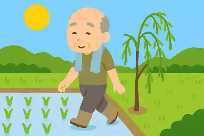 田一枚 植えて立ち去る 柳かな