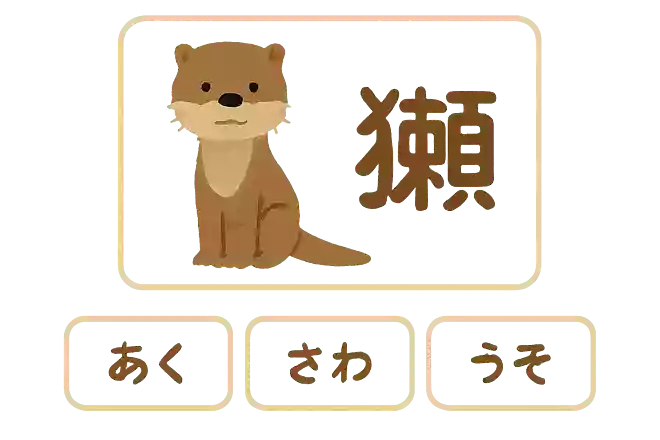 獺