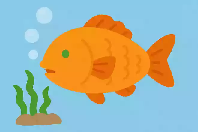 さかながみずのなかでいきをするためにつかうのはどのぶぶんでしょうか?