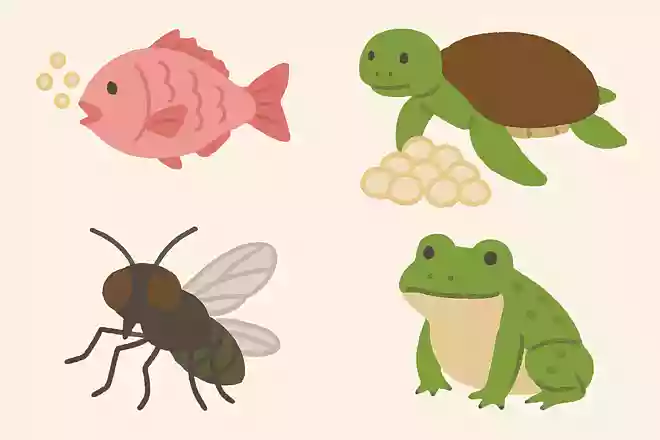一回に卵を産む量が一番多い動物は?