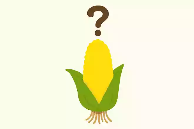 とうもろこしのひげの本数は?