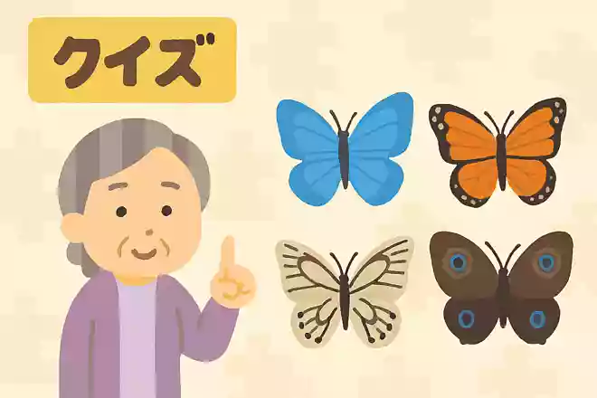 蝶々の種類は世界で何種類でしょう?NEW!