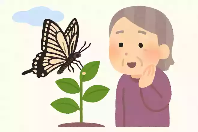 アゲハチョウが卵を産む場所はどこでしょう?NEW!