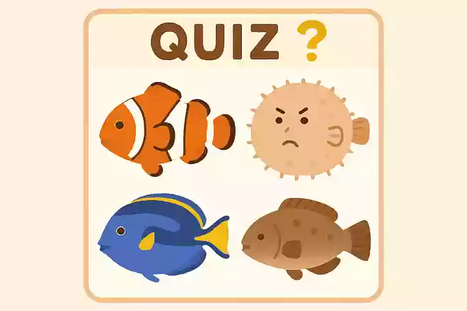 おこるとからだがまるくふくらむさかなは次のうちのどれでしょうか?
