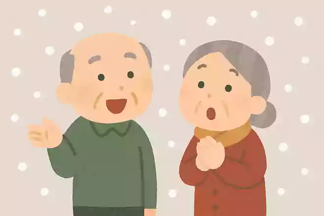 うまさうな 雪がふうはり ふわりかな