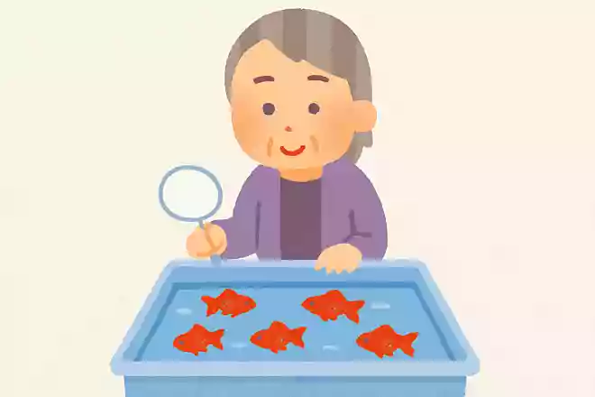 金魚がすくいやすい服の色はどれでしょうか?