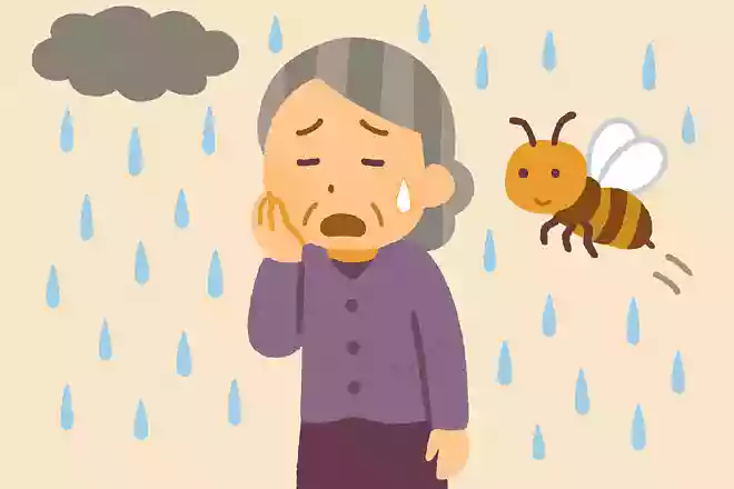 泣きっ面に〇〇