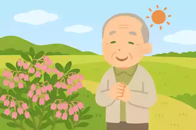来しかたや 馬酔木咲く野の 日のひかり