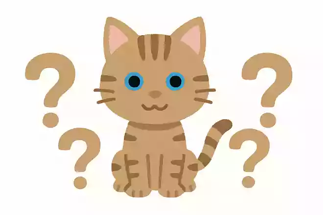 子猫の目の色は何色?