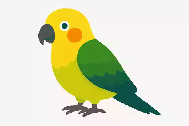 「背黄青鸚哥」はなんの動物でしょう?