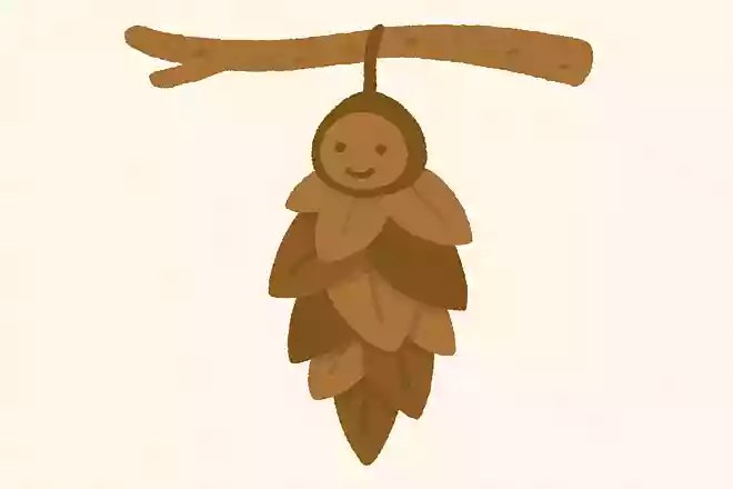 みのむし(蓑虫)