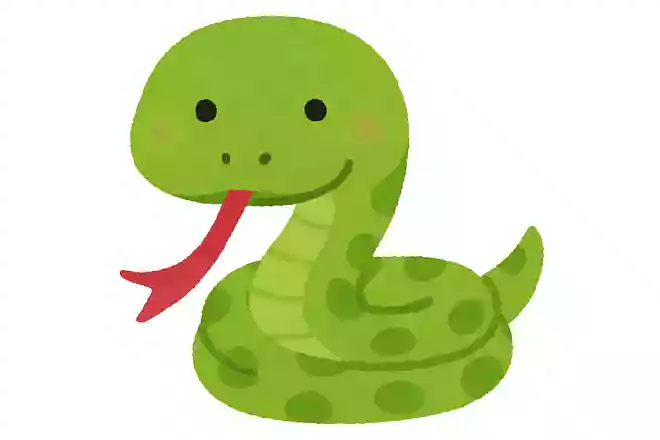 ヘビの舌はどうなっているでしょうか?