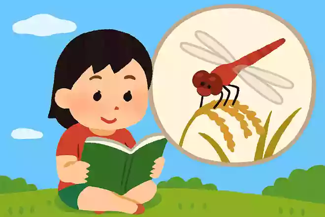 赤とんぼが赤くなる理由はなんでしょう?
