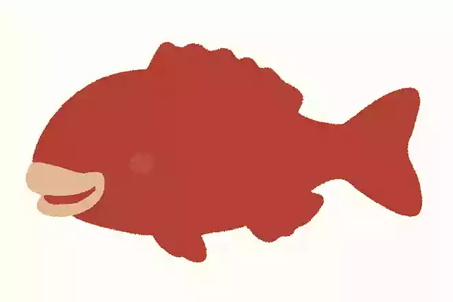 ナガブダイ(長部鯛)