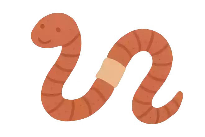 みみず(蚯蚓)