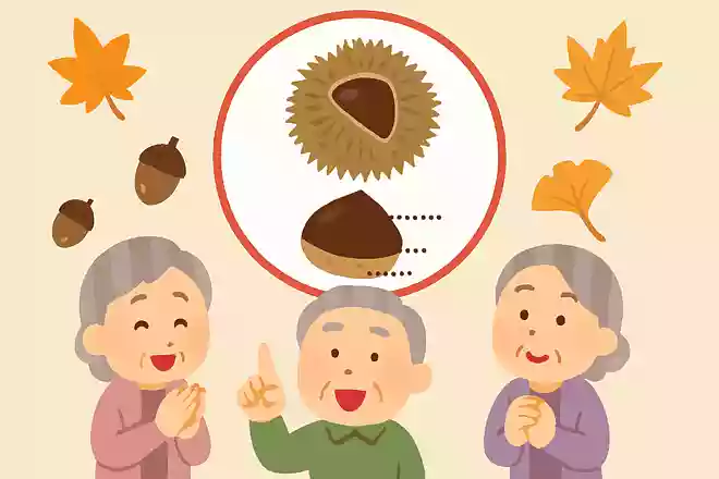 栗の種はどこの部分でしょうか?