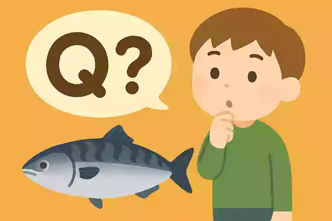 11月頃から旬を迎え、脂がのっておいしいと言われている魚は何でしょう？