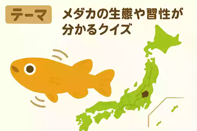メダカを食用にする習慣がある都道府県はどこ?