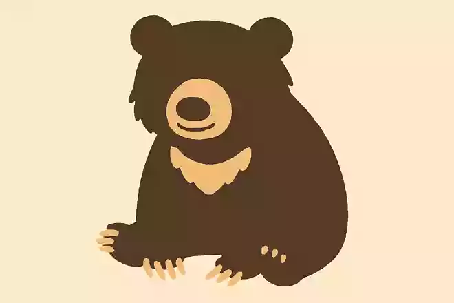 ナマケグマ(懶熊)
