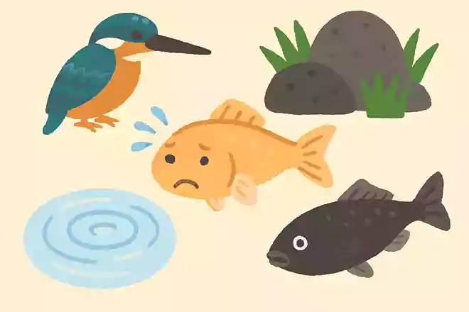 メダカが苦手なことは?