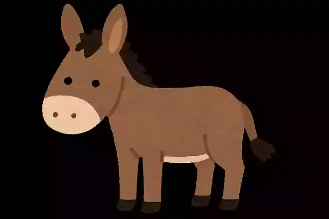 ロバ(驢馬)