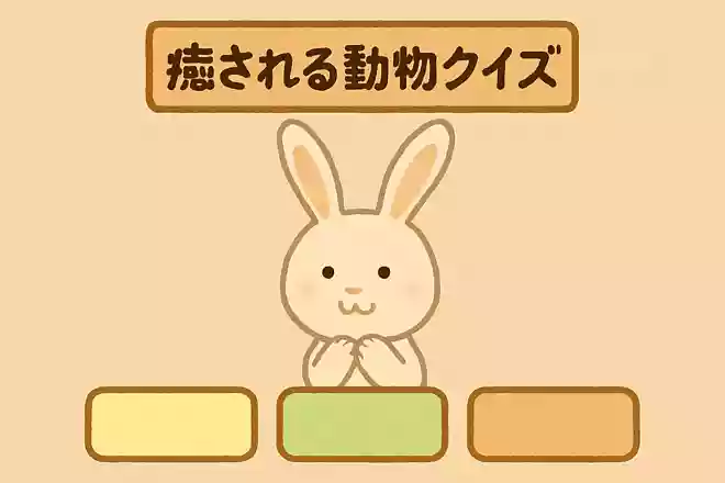 うさぎの耳が長い理由は何でしょうか?