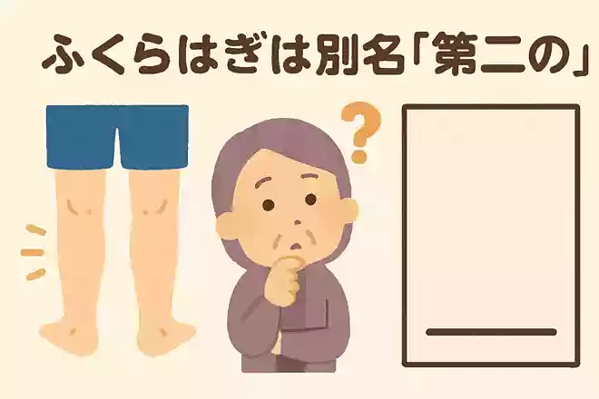 ふくらはぎは別名「第二の〇〇」と言います。体の一部を使い「第二の」何というのでしょうか?