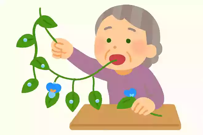 作るつる草吊るすつゆ草