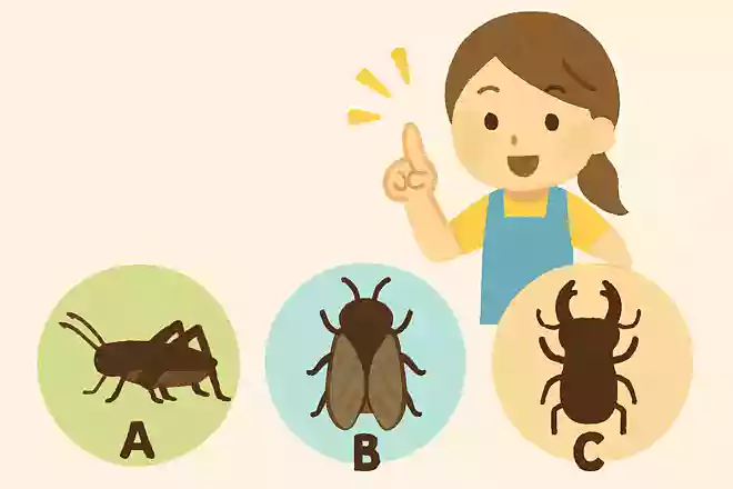 夏になると大きな声で鳴く虫は次のうちどれでしょうか?